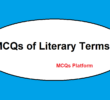 MCQs of Literary Terms