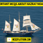 Important MCQs about Hazrat Noah A.S
