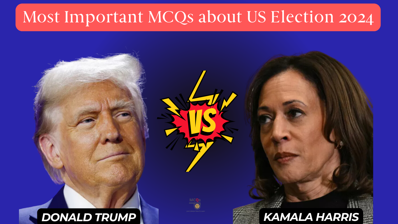 most important mcqs about us election 2024