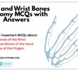 MCQs on Anatomy of the Hand and Wrist Bones