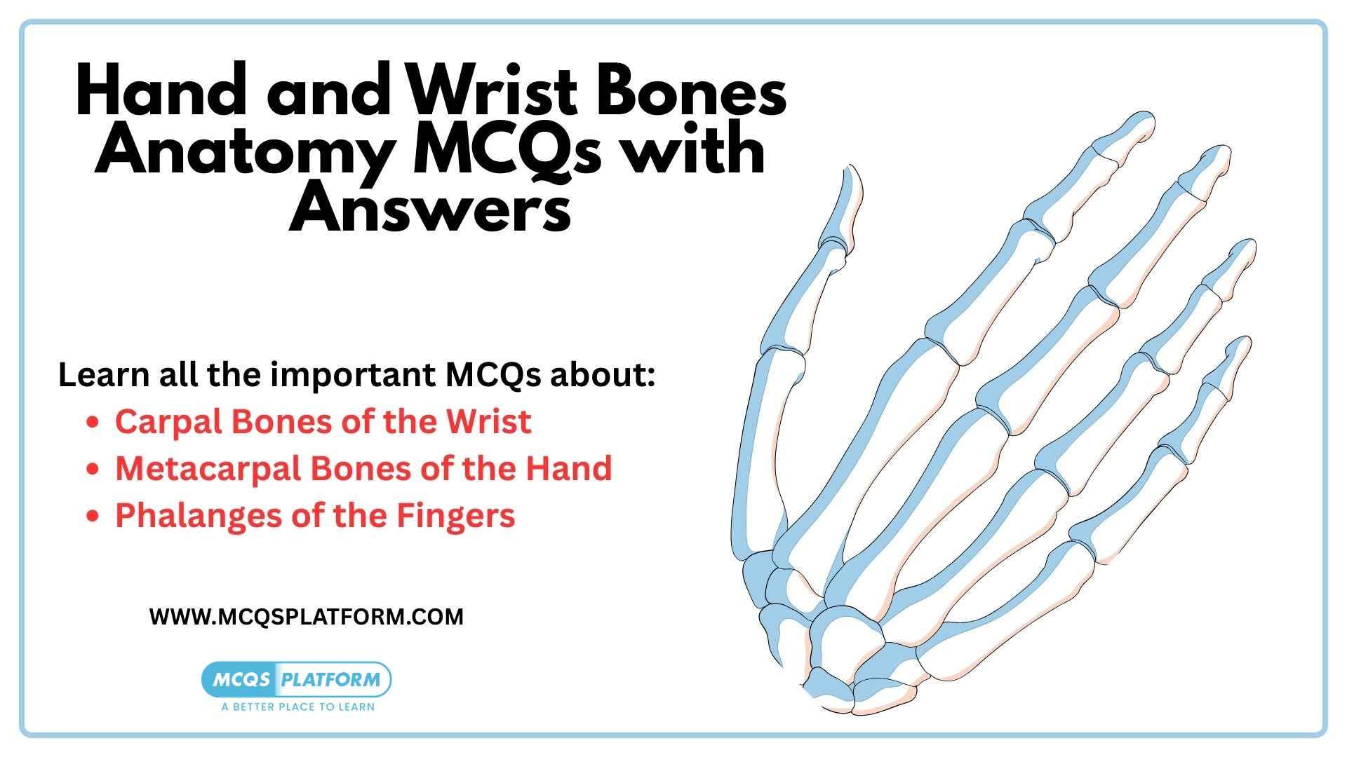 Anatomy of hand and wrist bones diagram showing carpal bones