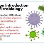 MCQs on Introduction to Microbiology