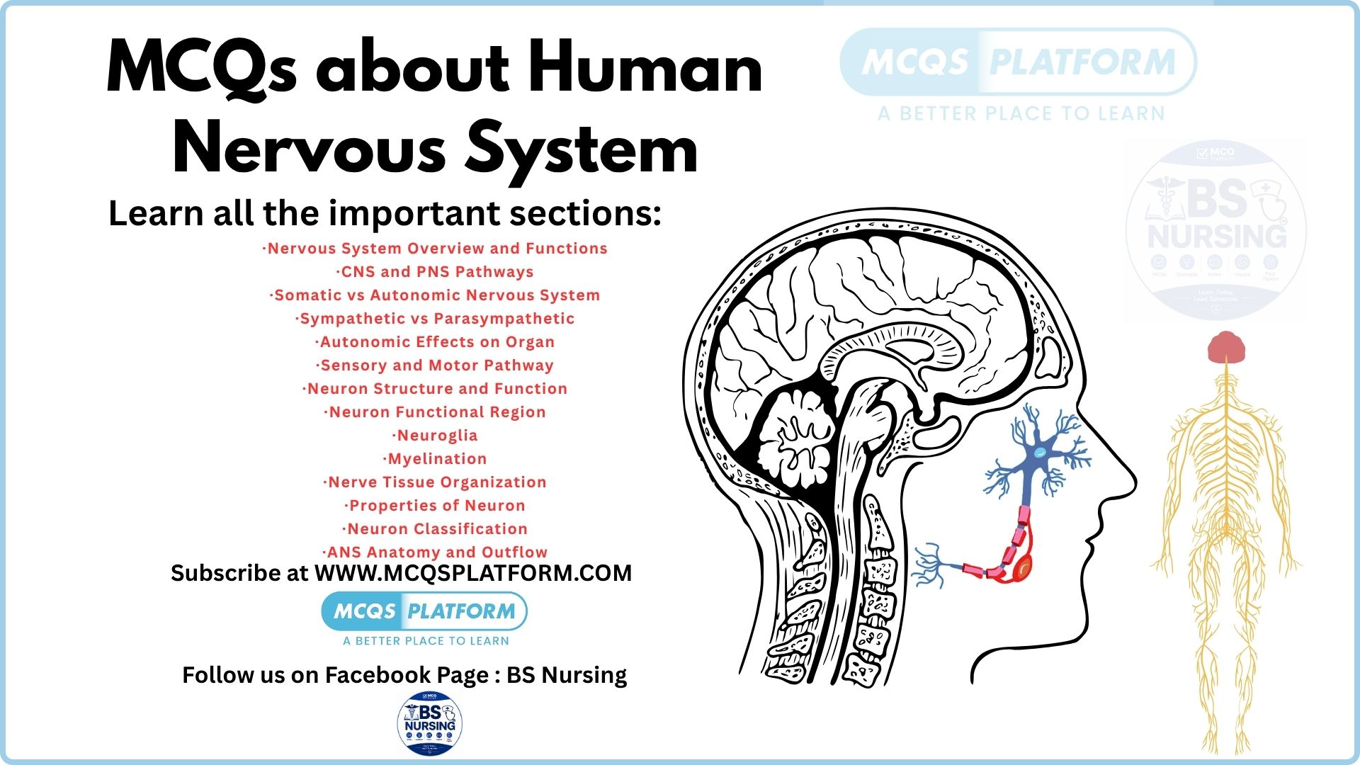 mcqs about human nervous system