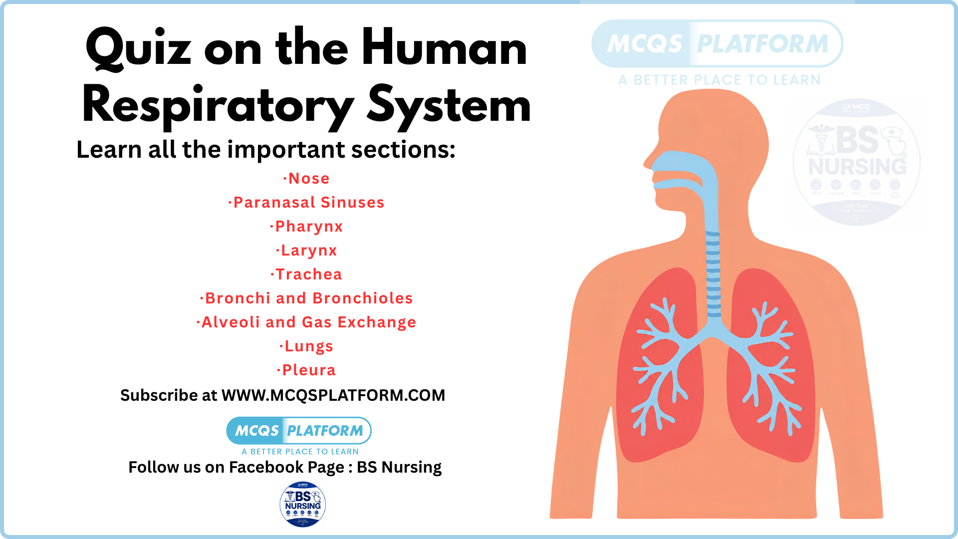 quiz on the human respiratory system